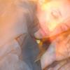 img021.jpeg