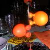 img031.jpeg